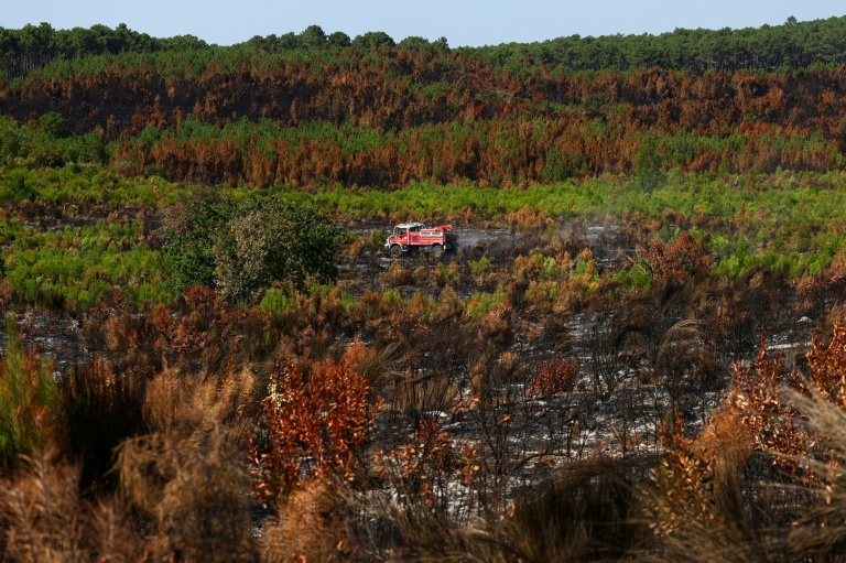 Des pompiers conduisent un camion de lutte contre les feux de forêt (CCF) dans la forêt du Grand Crohot, à Légé-Cap-Ferret, dans le sud-ouest de la France, le 1er août 2026