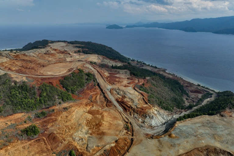 Zone défrichée sur l'île indonésienne de Kawei, dans la province de Papouasie du Sud, dans une image prise le 21 décembre 2024 fournie par l'ONG ecologiste indonésienne Auriga Nusantara
