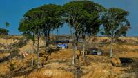 Une zone de déboisement pour la plantation de palmiers à huile à Lamno, dans la province d'Aceh, le 18 janvier 2026 en Indonésie