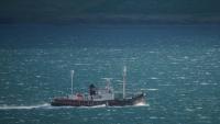 Le baleinier Hvalur 9 ramène au port un rorqual commun de 20 mètres vers le port de Hvalfjordur, près de Reykjavik, le 24 juin 2022