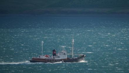 Le baleinier Hvalur 9 ramène au port un rorqual commun de 20 mètres vers le port de Hvalfjordur, près de Reykjavik, le 24 juin 2022