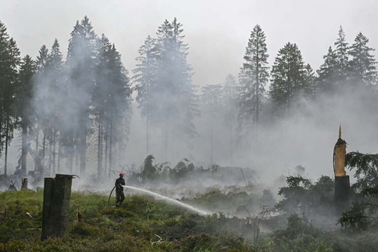 Un pompier arrose la végétation lors d'une intervention contre un feu de forêt dans la réserve naturelle des Hautes Fagnes, près de Baelen, le 18 août 2026 en Belgique