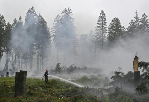 Un pompier arrose la végétation lors d'une intervention contre un feu de forêt dans la réserve naturelle des Hautes Fagnes, près de Baelen, le 18 août 2026 en Belgique