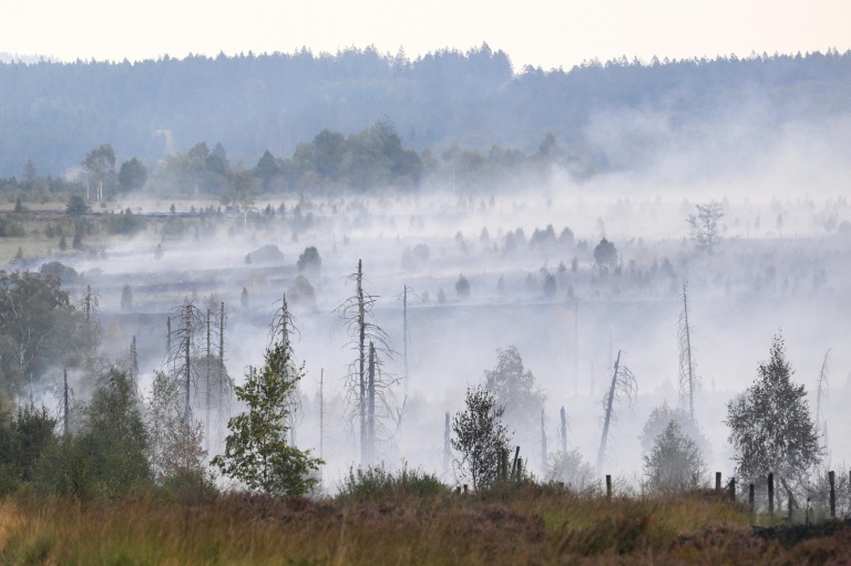 De la fumée s'échappet du sol et de la végétation brûlés lors d'un incendie de forêt dans la réserve naturelle des Hautes Fagnes, au sud-est de Bruxelles, le 17 août 2026 en Belgique