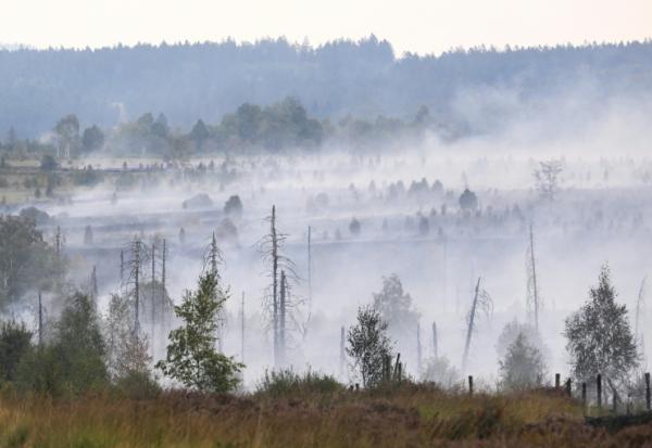 De la fumée s'échappet du sol et de la végétation brûlés lors d'un incendie de forêt dans la réserve naturelle des Hautes Fagnes, au sud-est de Bruxelles, le 17 août 2026 en Belgique