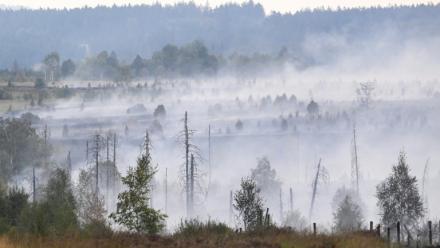 De la fumée s'échappet du sol et de la végétation brûlés lors d'un incendie de forêt dans la réserve naturelle des Hautes Fagnes, au sud-est de Bruxelles, le 17 août 2026 en Belgique