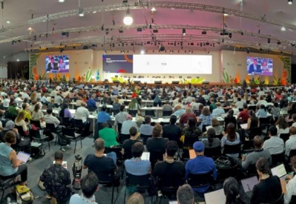 Session plénière de la COP30 à Belem, Brésil, le 22 novembre 2025