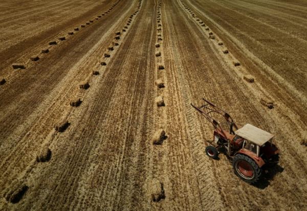 Dans une nouvelle séance crispée, l'Assemblée nationale a adopté dans la nuit de lundi à mardi la loi d'urgence agricole, et la possibilité de réintroduire de manière dérogatoire certains pesticides