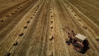 Dans une nouvelle séance crispée, l'Assemblée nationale a adopté dans la nuit de lundi à mardi la loi d'urgence agricole, et la possibilité de réintroduire de manière dérogatoire certains pesticides