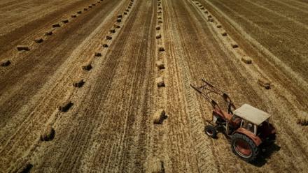 Dans une nouvelle séance crispée, l'Assemblée nationale a adopté dans la nuit de lundi à mardi la loi d'urgence agricole, et la possibilité de réintroduire de manière dérogatoire certains pesticides