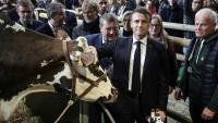 Le président français Emmanuel Macron auprès de la vache normande "Oreillette" et de son éleveur François Foucault (D), lors de la visite du 60e Salon international de l'agriculture (SIA) à Paris, le jour de son inauguration, le 24 février 2024.