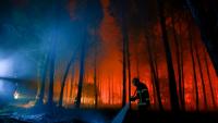 Un pompier lutte contre un feu de forêr à Luglon, dans les Landes, le 14 août 2026
