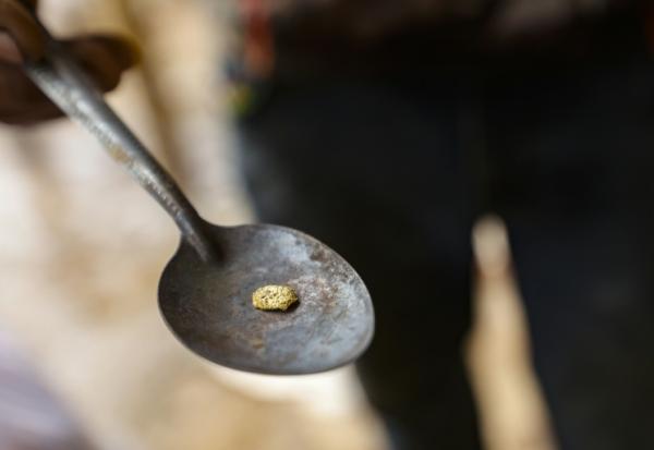 Un homme montre un morceau d'or extrait d'une mine d'or artisanale à El Dorado, dans une région gangrenée par les exploitations minières illégales et le crime organisé, au Venezuela, le 25 mai 2025