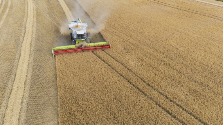 Un champ d'orge en pleine moisson à Garche, en Moselle, le 10 juillet 2025