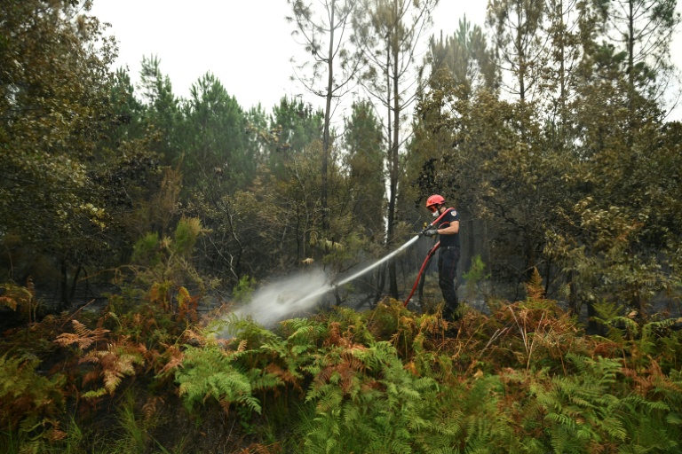 Un pompier arrose de la végétation pour empêcher les reprises de feu, le 16 août 2026 à Luglon, dans les Landes 