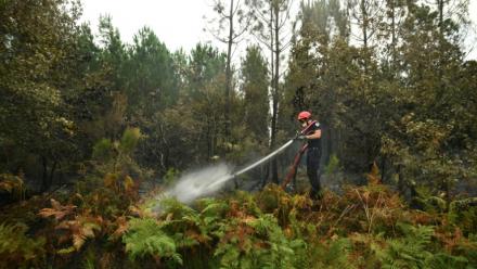 Un pompier arrose de la végétation pour empêcher les reprises de feu, le 16 août 2026 à Luglon, dans les Landes 