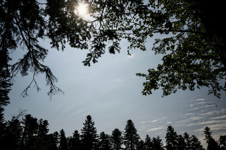Un nouvel épisode de fortes chaleurs arrive sur la France avec sept départements en vigilance orange canicule dans le Sud