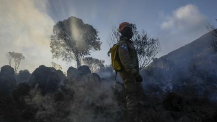 Un pompier à Itatiaia, au Brésil le 15 juin 2024