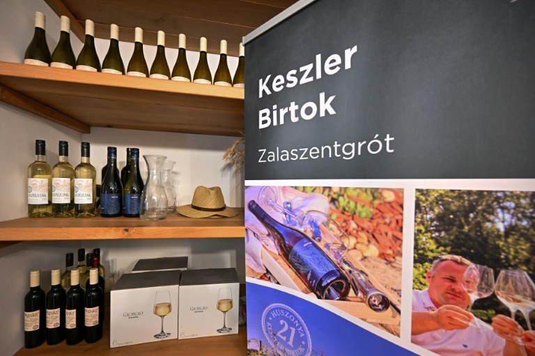 Des bouteilles de vin du producteur hongrois Viktor Keszler exposées sur des étagères de sa boutique, le 6 novembre 2025 à Zalaszentgrot, à environ 200 km à l'ouest de Budapest