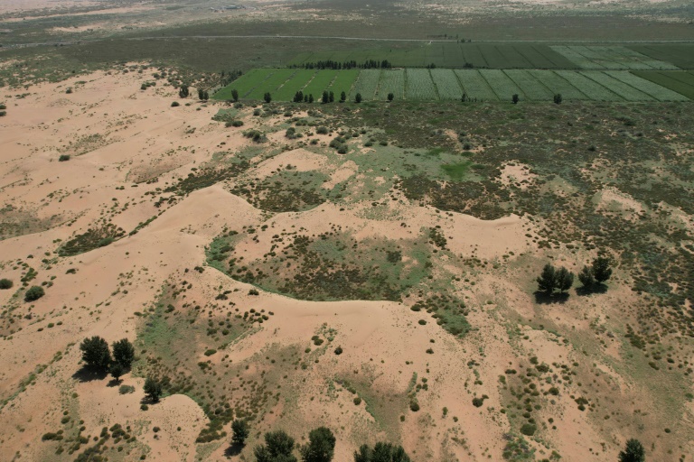 Vue aérienne de la zone verte qui contraste avec le désert de Kubuqi, à Ordos au nord de la Chine, le 12 août 2025