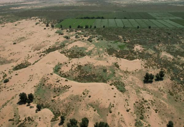 Vue aérienne de la zone verte qui contraste avec le désert de Kubuqi, à Ordos au nord de la Chine, le 12 août 2025