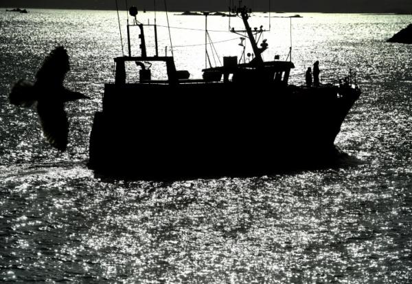 Inquiets face à la flambée des prix du gazole, les pêcheurs français ont réclamé des "mesures d'urgence" pour leur permettre de poursuivre leur activité