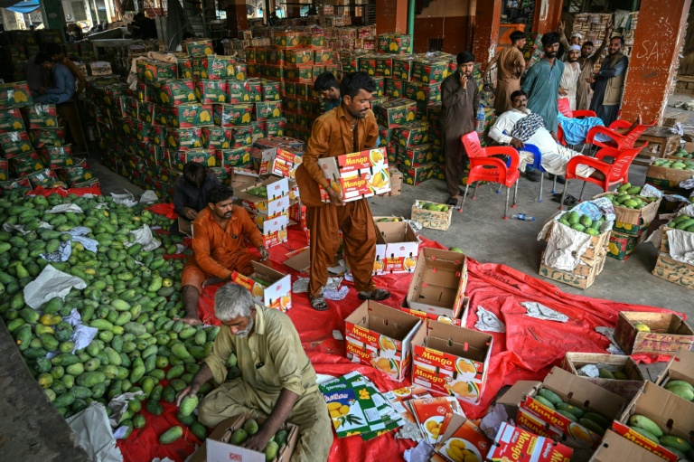 Des ouvriers emballent des mangues sur un marché à Karachi, le 5 juin 2026 au Pakistan
