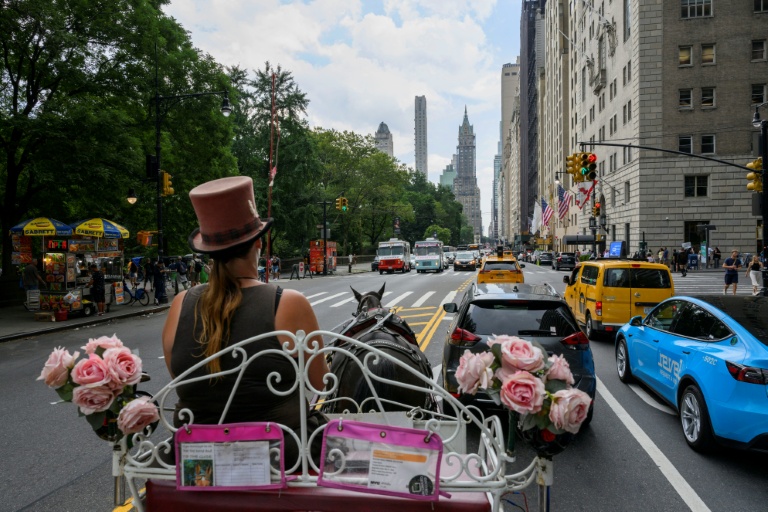 La cochère Christina Hansen sur sa calèche dans les rues de Manhattan, à New York, le 26 août 2022