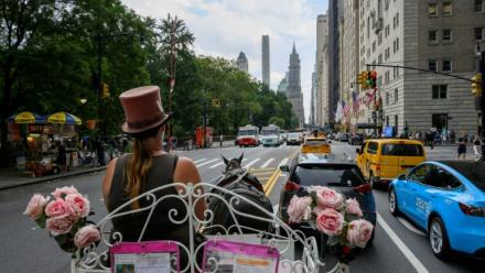 La cochère Christina Hansen sur sa calèche dans les rues de Manhattan, à New York, le 26 août 2022