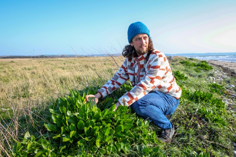 Sean Ronayne place des enregistreurs dans la végétation, sur la plage de Ballycotton, près de Cobh, le 3 avril 2025