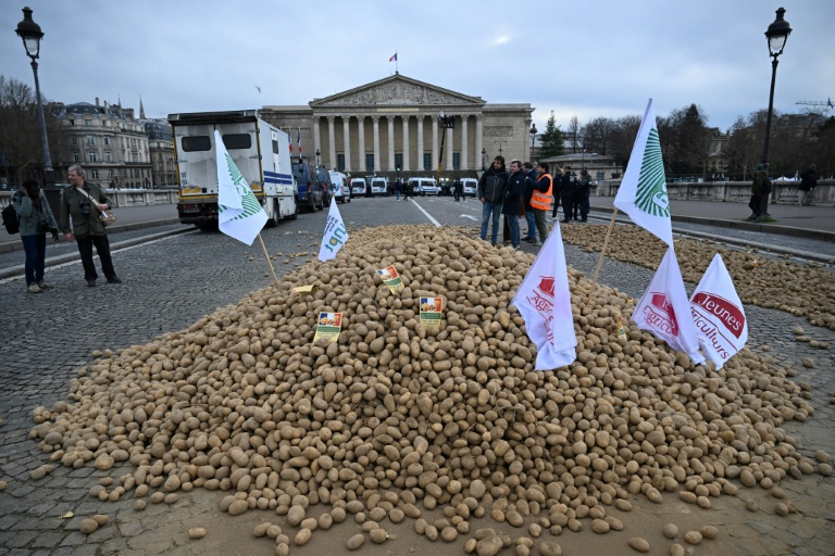 Des agriculteurs à côté de pommes de terre déversées lors d'une manifestation devant l'Assemblée nationale à Paris, le 13 janvier 2026