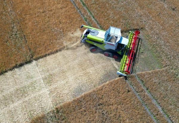 Vue aérienne d'une moissonneuse-batteuse dans un champ à Gross Machnow, dans l'est de l'Allemagne, le 2 juillet 2026