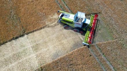 Vue aérienne d'une moissonneuse-batteuse dans un champ à Gross Machnow, dans l'est de l'Allemagne, le 2 juillet 2026