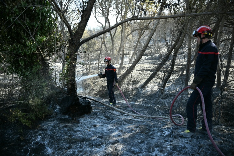 Des pompiers arrosent les arbres et la terre pour empêcher le feu de reprendre alors qu'un incendie fait rage près de la commune de Tarerach, à l'ouest de Perpignan, le 7 juillet 2026 dans les Pyrénées-Orientales