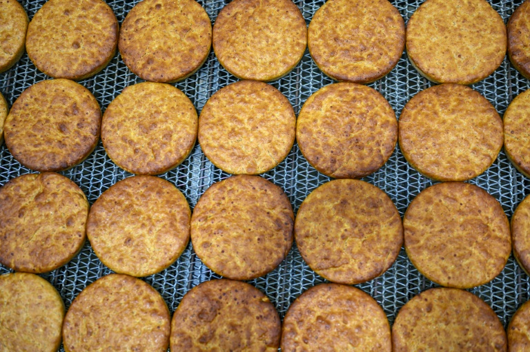 Du pain fabriqué avec de la farine de blé ancestral, de lentilles et de boulgour, comme l'était celui de Kullüoba, dans la boulangerie municipale de Halk Ekmek, à Eskisehir, en Turquie, le 23 mai 2025