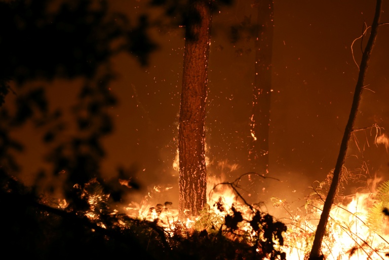 Des braises incandescentes jaillissent d'un tronc d'arbre en feu alors qu'un incendie de forêt fait rage dans la forêt des Landes, à Luglon, dans le sud-ouest de la France, aux premières heures du 14 août 2026