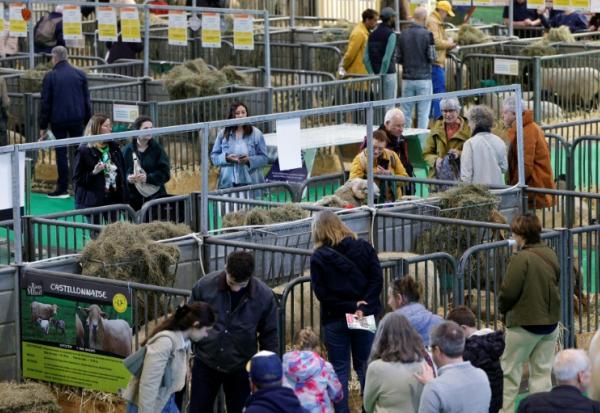 Des visiteurs au Salon de l'agriculture à Paris le 26 février 2026