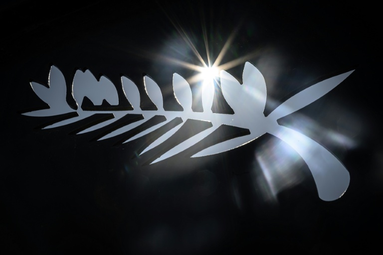 Le logo de la Palme d'Or à la veille du 76e Festival de Cannes, à Cannes, dans le sud-est de la France, le 15 mai 2023