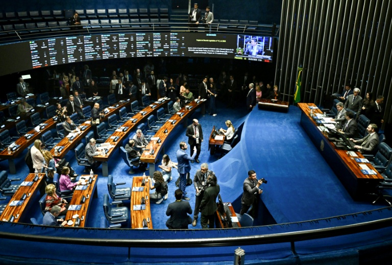 Séance plénière du Sénat brésilien lors d'un vote sur l'approbation de l'accord de libre-échange entre le Mercosur et l'Union européenne, à Brasilia, le 4 mars 2026
