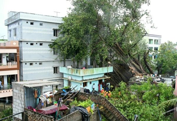 Des maisons endommagées par des arbres déracinés, après que le cyclone Arnab a touché terre à Yanam, dans le territoire de Pondichéry, le 28 octobre 2026 en Inde