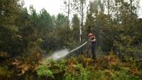 Un pompier arrose de la végétation pour empêcher les reprises de feu, le 16 août 2026 à Luglon, dans les Landes 