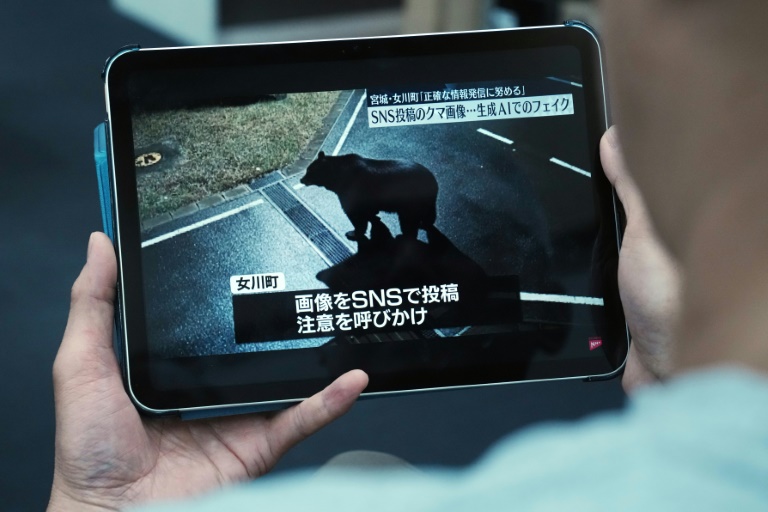 Un homme regarde un reportage télévisé présentant une fausse photo d'ours créée à l'aide d'une intelligence artificielle et publiée sur les réseaux sociaux, à Tokyo, le 27 novembre 2025