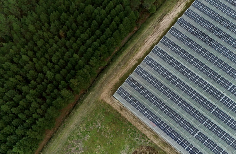 Vue du toit d'une serre composé de panneaux photovoltaïques au Temple, en Gironde, le 3 octobre 2025