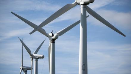 Le gouvernement veut revoir le soutien public aux énergies renouvelables