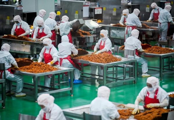 Des ouvriers préparent des lamelles de farine pour les aromatiser avant leur conditionnement à l'usine Mala Wangzi, du comté de Pingjiang, dans la province du Hunan, le 17 juin 2026 dans le centre de la Chine