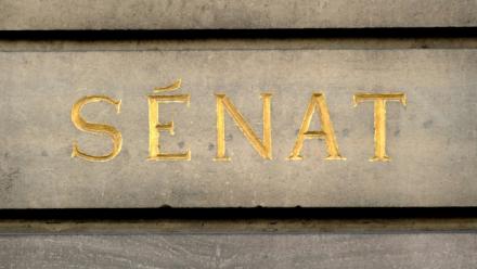 Une idéologie haineuse vis-à-vis des femmes, prônant la suprématie des hommes: un rapport sénatorial appelle mercredi à combattre le "poison" du masculinisme qui se diffuse de manière insidieuse dans la société, notamment via les réseaux sociaux