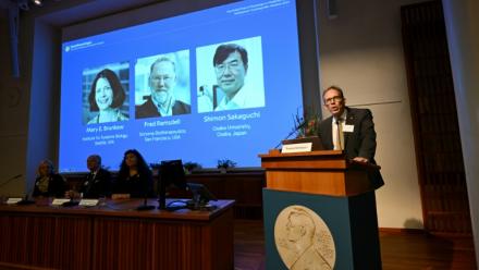 Le secrétaire général du comité Nobel Thomas Perlmann (d) près des portraits de Mary E. Brunkow, Fred Ramsdell et Shimon Sakaguchi, lauréats du Nobel de médecine, à Stockholm le 6 octobre 2025