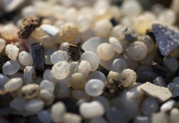 Granulés plastiques industriels (GPI) échoués sur la plage de la Pineda à Tarragone en Catalogne le 12 janvier 2024