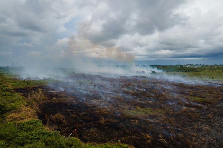 Un incendie dans une forêt de tourbières transformée en plantations de palmiers à huile à Meulaboh, dans la province indonésienne d'Aceh, le 15 février 2025