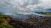 Un incendie dans une forêt de tourbières transformée en plantations de palmiers à huile à Meulaboh, dans la province indonésienne d'Aceh, le 15 février 2025